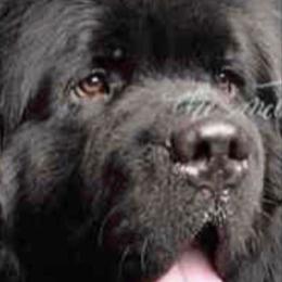 Mikaela - Newfoundland