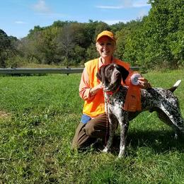 German Shorthaired Pointers from Highpointer German Shorthair Pointers