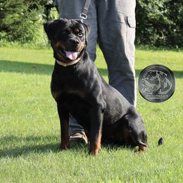 Medusa Vom Kaiserreich - Rottweiler