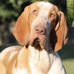 Nonna - Bracco Italiano