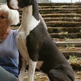 Great Danes from Rare Earth Danes