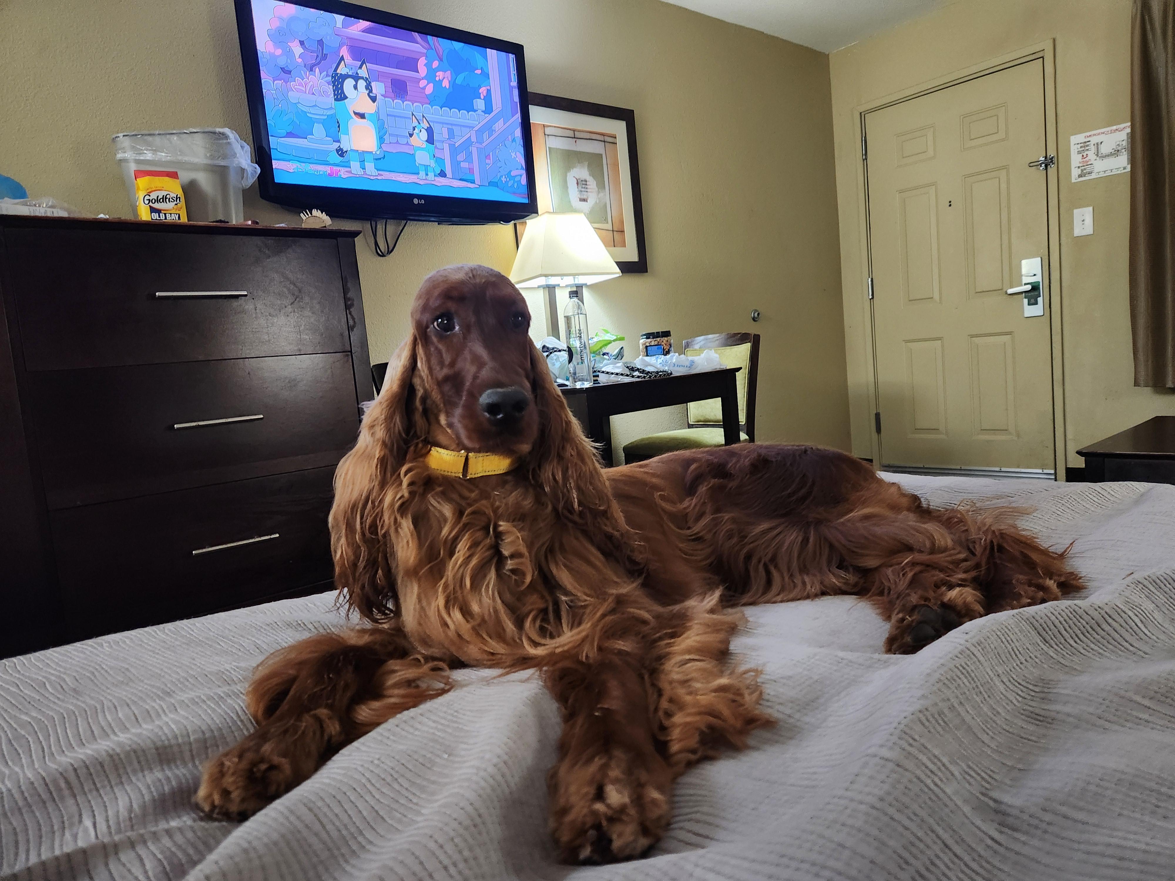 Nellie