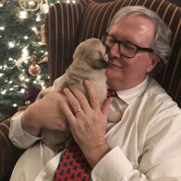 Pug Puppies from Pickwick Pugs