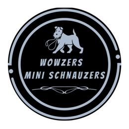 Miniature Schnauzers from Wowzers Mini Schnauzers