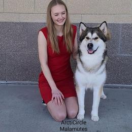 Acadia - Alaskan Malamute