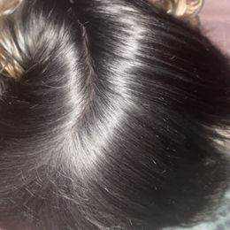 French Bulldogs and Yorkshire Terriers from Diamond Doll Yorkies