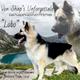 Lobo