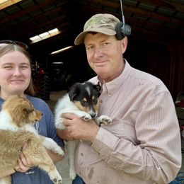 Collie Puppies from Little Apple Collies, Dazey, ND