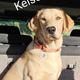 Kelsea