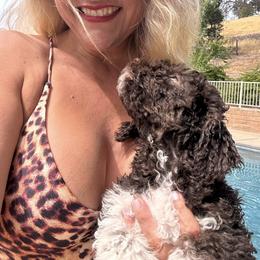 Lagotto Romagnolo Puppies from Anna’s Lagottos