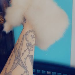 Pomeranian Puppies from A Sample Of Gods Love Kennels