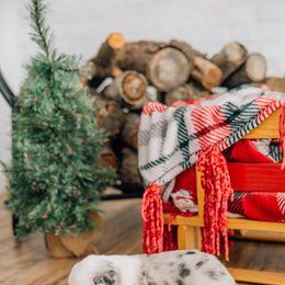 Gravy - Blue merle male Miniature Australian Shepherd puppy in Enoch, Utah from Twisted H Aussies