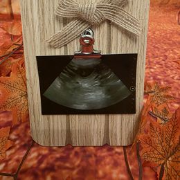 Pomeranian puppies from Serena's Poms