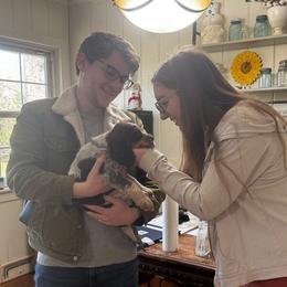 Alice Cooper (Lady) - Liver white and tan English Springer Spaniel puppy in Statesville, North Carolina from Rockin’ Slow Farms