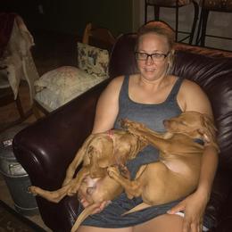 Vizsla Puppies from Virag Vizsla