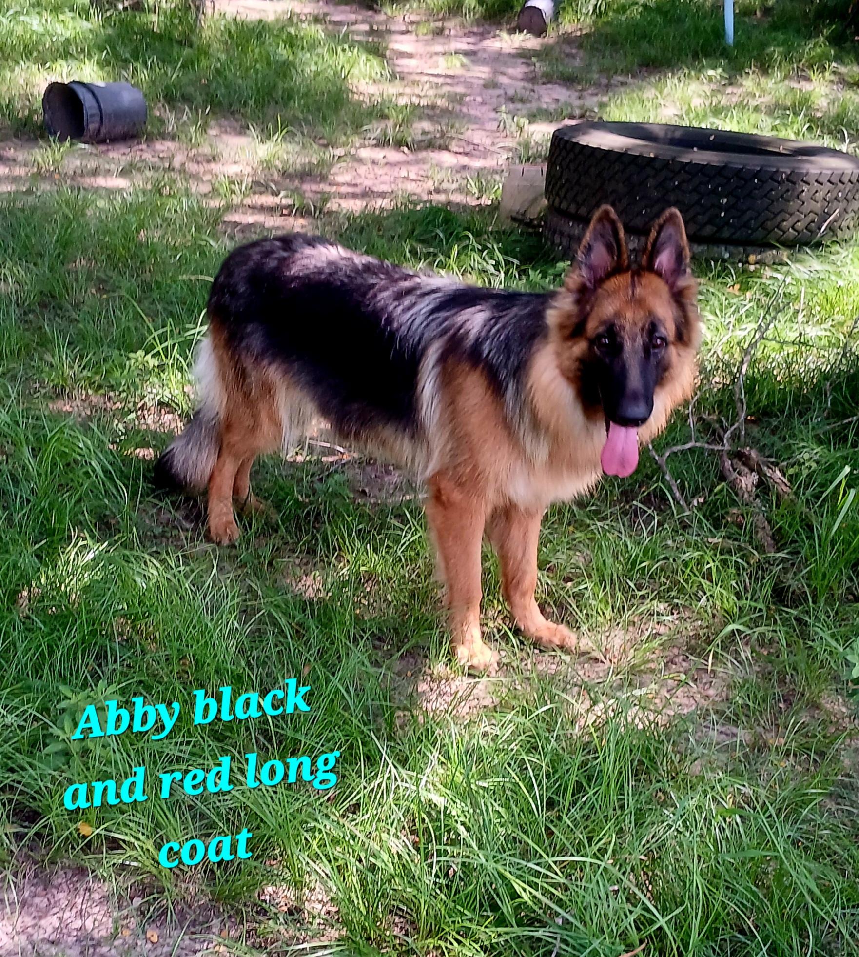 Abby