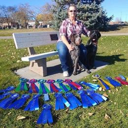 German Wirehaired Pointer All Grown Up from WyoWires German Wirehaired Pointers