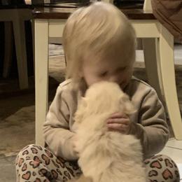 Pekingese Puppies from Crawford Ranch Canines