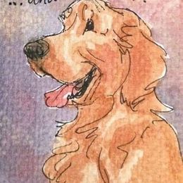 Golden Retriever Puppies from Mountain View Farms - World Class Golden Retrievers