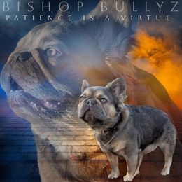 Patience - French Bulldog
