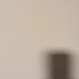 Chocolate Dobie Boy - Chocolate and tan male Shih Tzu puppy in Surry, Maine from McKayla Hairston