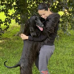 Afghan Hounds from Jennifer’s afghans