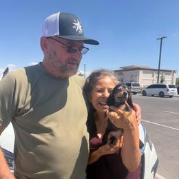 Price 1,500 - Pink Girl - Black and cream female Dachshund puppy in Horizon City, Texas from Willipaws