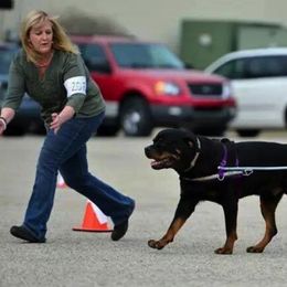 Rottweilers from Spirit Mountain Rottweilers
