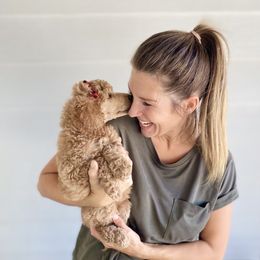 Bernedoodle, Goldendoodle, and Poodle Puppies from Central Valley Canine Companions