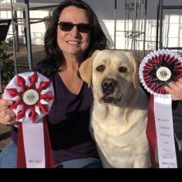 Nikki - Labrador Retriever