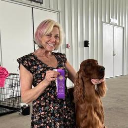 Tris - Irish Setter