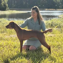 Dalmatians and Vizslas from Clíodhna Kennel
