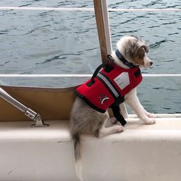 Shetland Sheepdog All Grown Up from Fox Point Farm Toy Shelties