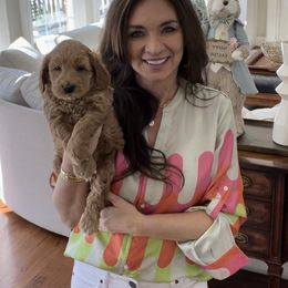 Australian Labradoodle Puppies from Berrybrook Doodles