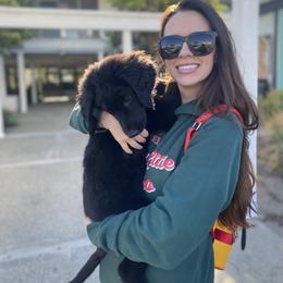Bernedoodle, Goldendoodle, and Sheepadoodle Puppies from Dhalia’s Doodles