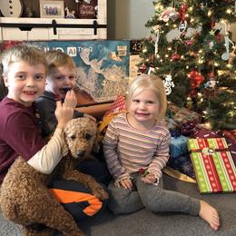 Goldendoodle All Grown Up from Blushing Doodles