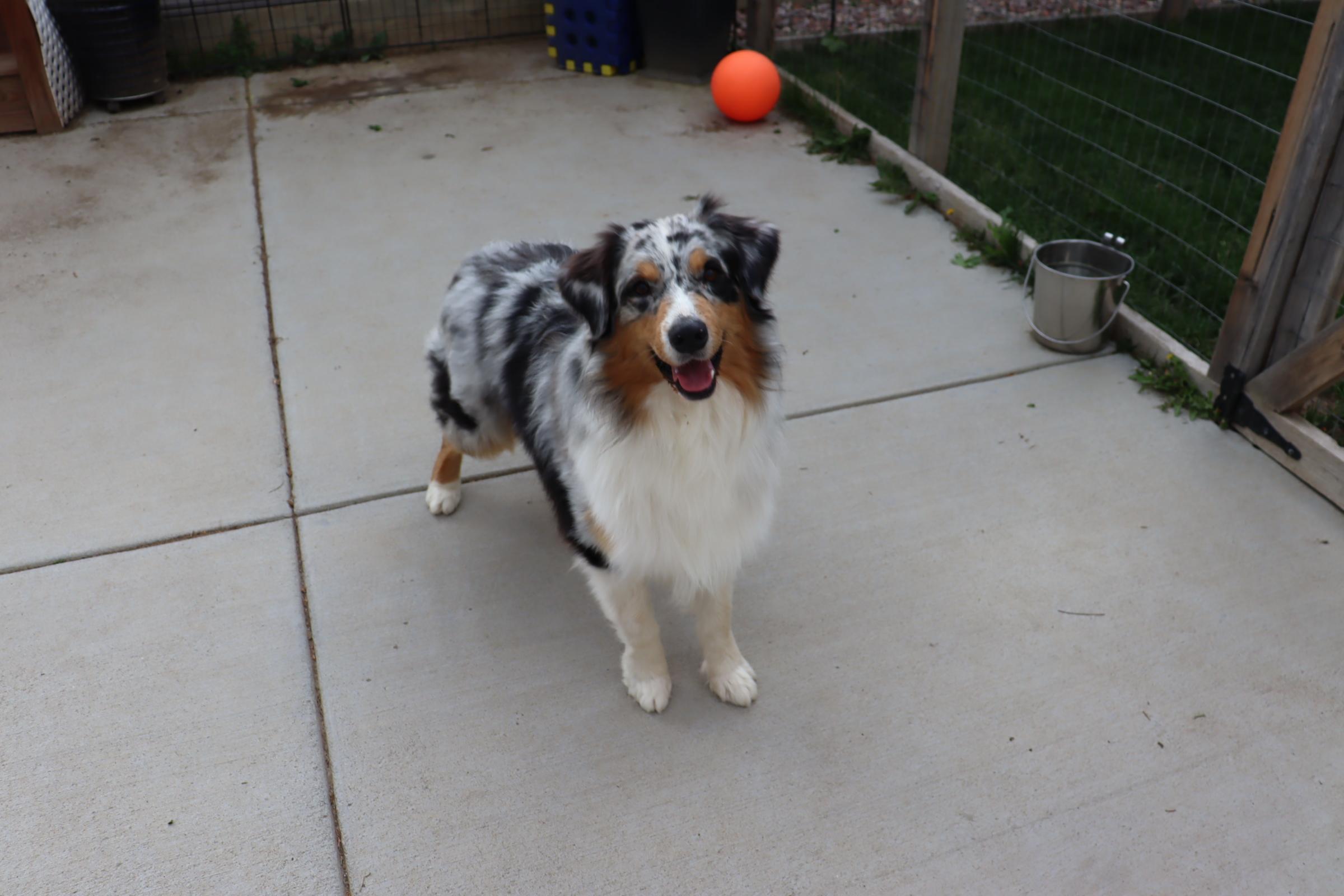 Mac