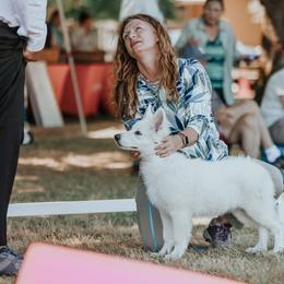 Berger Blanc Suisse Puppies from Moro Shepherds