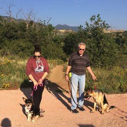 Belgian Malinois, Dutch Shepherds, and xDutch Shepherds from MarathonK9 Kennel