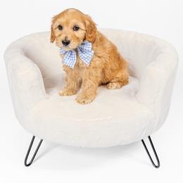 Gates - Apricot male Australian Labradoodle puppy in Leicester, North Carolina from Paws For All Labradoodles