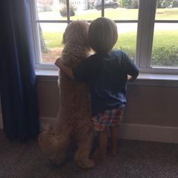 Goldendoodle Puppies from Mumzee Doodles