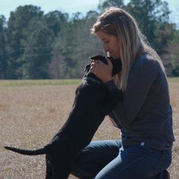Labrador Retrievers from Savannah Bluff Retrievers