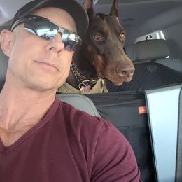 Doberman Pinscher Puppies from Maris Stella Kennel