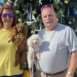 German Shepherds and Poodles from Sturmwolke German Shepherds