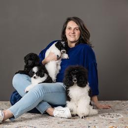 Poodle Puppies from Moonrise Poodles