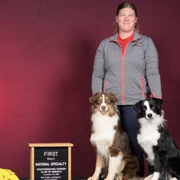 Australian Shepherds from Enroute Australian Shepherds