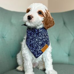 Paris - Parti Goldendoodle puppy in Chattanooga, Tennessee from Ruby's Kit & Ka'Doodles