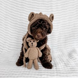 Tattersall - Chocolate male Goldendoodle puppy in Roanoke Rapids, North Carolina from Sweeter than Honey Doodles