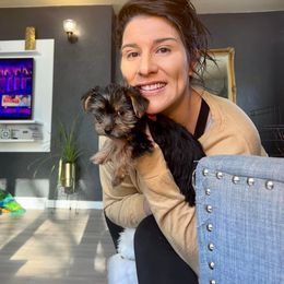 Yorkshire Terrier Puppies from Celestial Family Terriers (Yooper Yorkies)