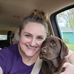 Labrador Retriever Puppies from Rick's Retrievers